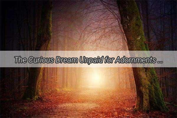 The Curious Dream Unpaid for Adornments  A Tale of Unfinished Business